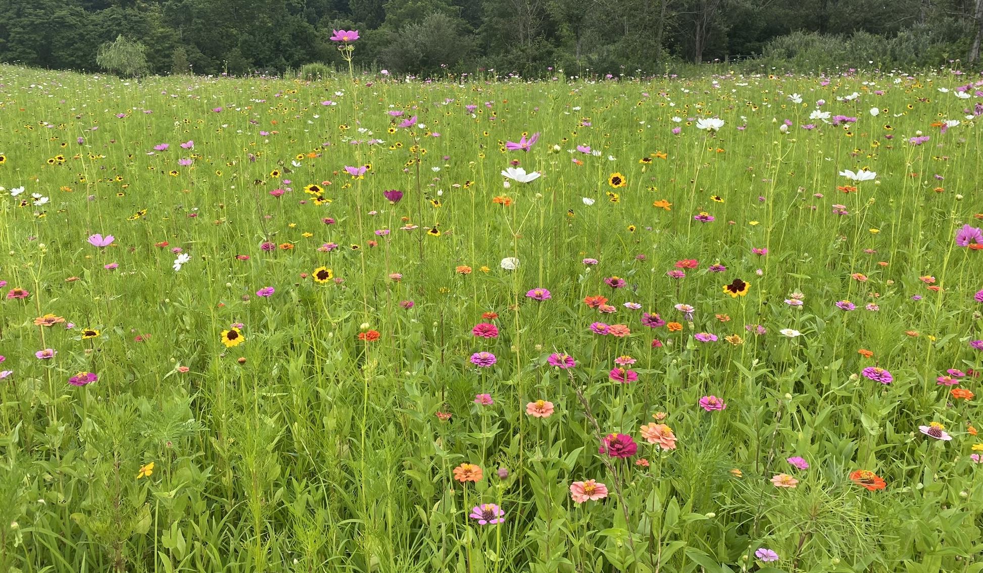 Hero Slideshow Image 1