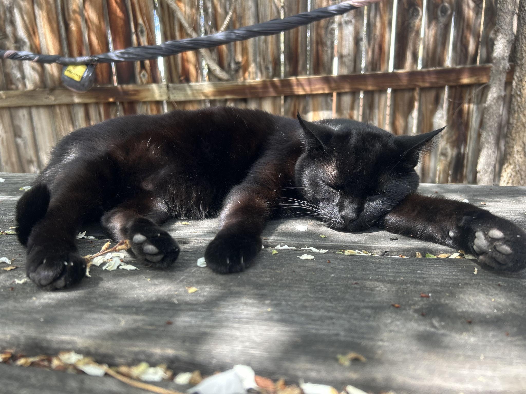 The Wedding Website of Naomi Bravo and Xan Mitkus