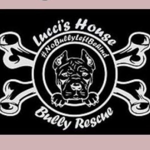 Our Favorite Charity: Lucci’s House Bully Rescue