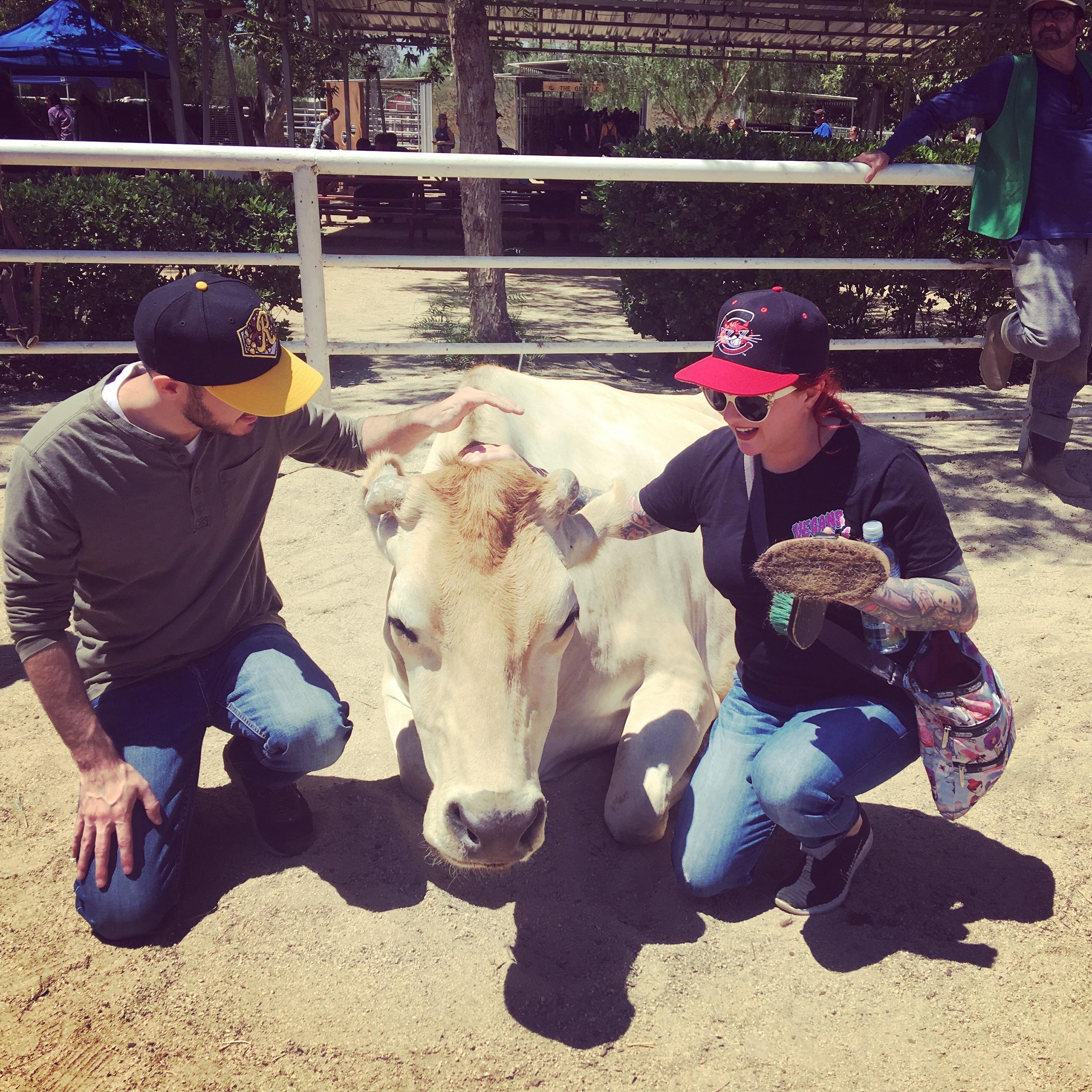 Petting "Mr. Rojas" at the Gentle Barn.