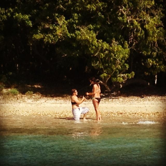 The moment it happened!!! Photo take by the captain of our boat  - Virgin Islands, 2014