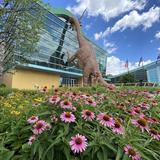 The Children's Museum of Indianapolis