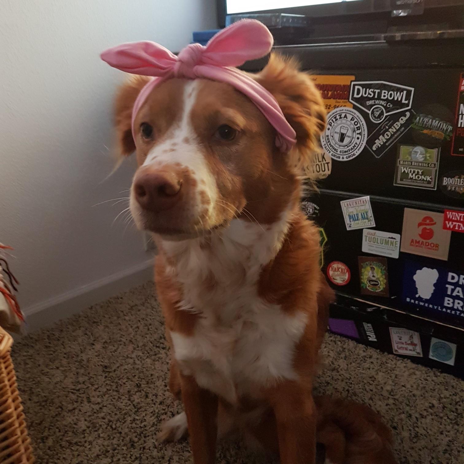 February 2018 - Daisy