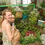 Krohn Conservatory