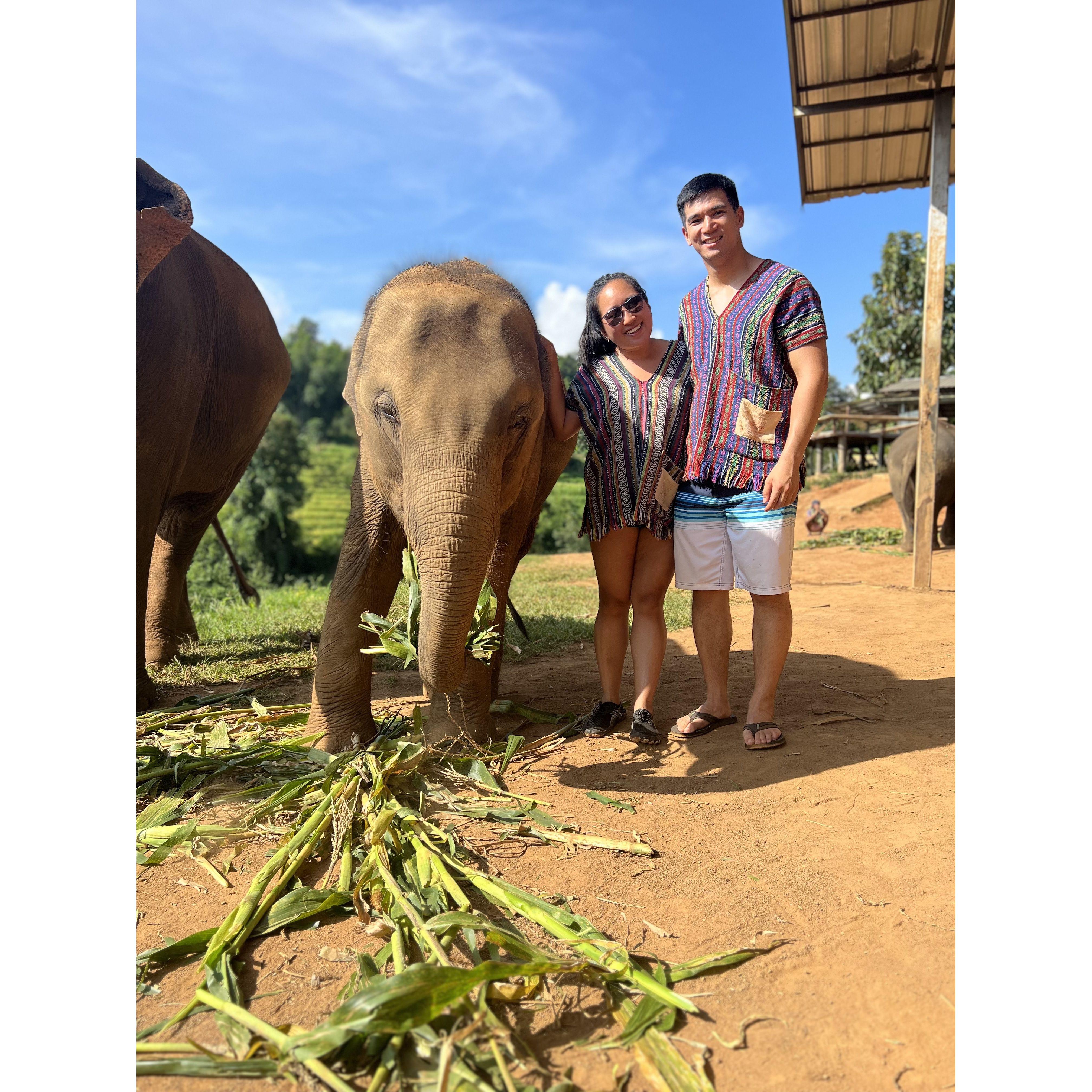 In Chiang Mai, Thailand with the elephants