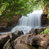 Tanyard Creek Nature Trail