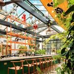 Somerset Bar