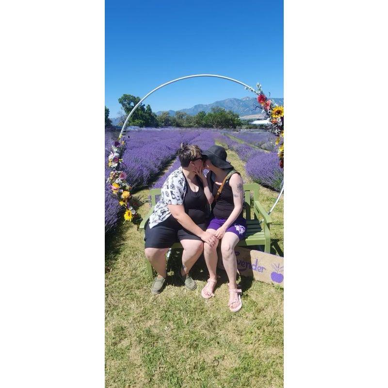 Easts happy place, Lavender Fields!