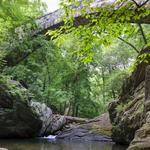 Wissahickon Valley Park