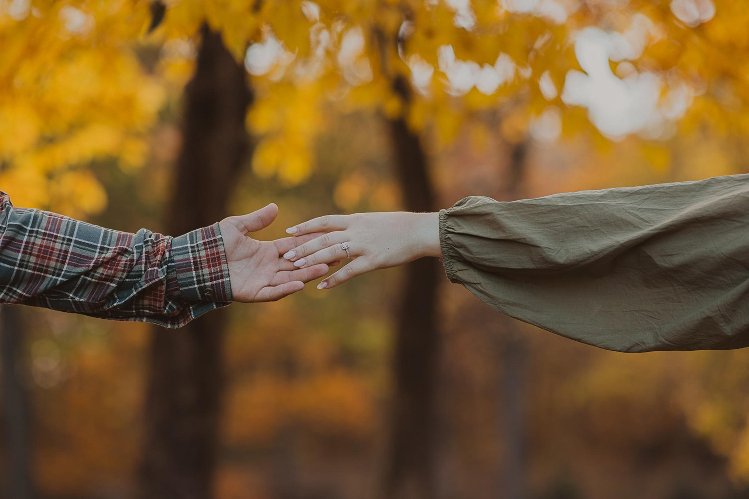 The Wedding Website of Jenna Ruberto and Tyler Parent