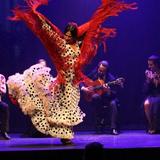 Teatro Flamenco Sevilla | Espectáculo Flamenco en Sevilla