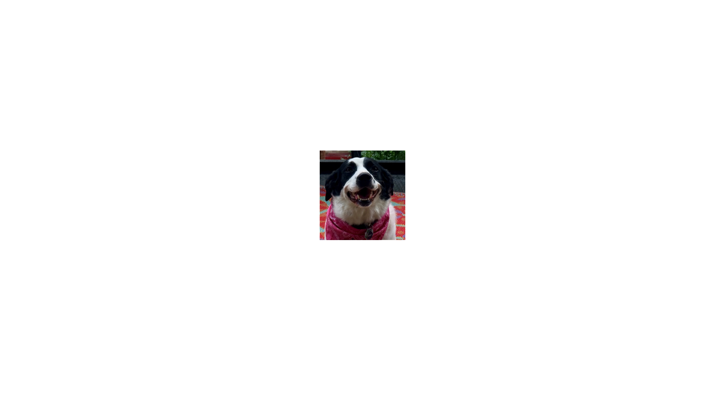 Footer image
