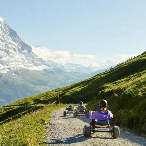 Mountain Cart Tickets