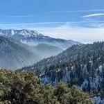 San Bernardino Forest