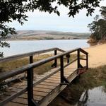 Tomales Bay State Park (Shell Beach)