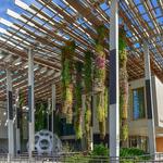 Pérez Art Museum Miami