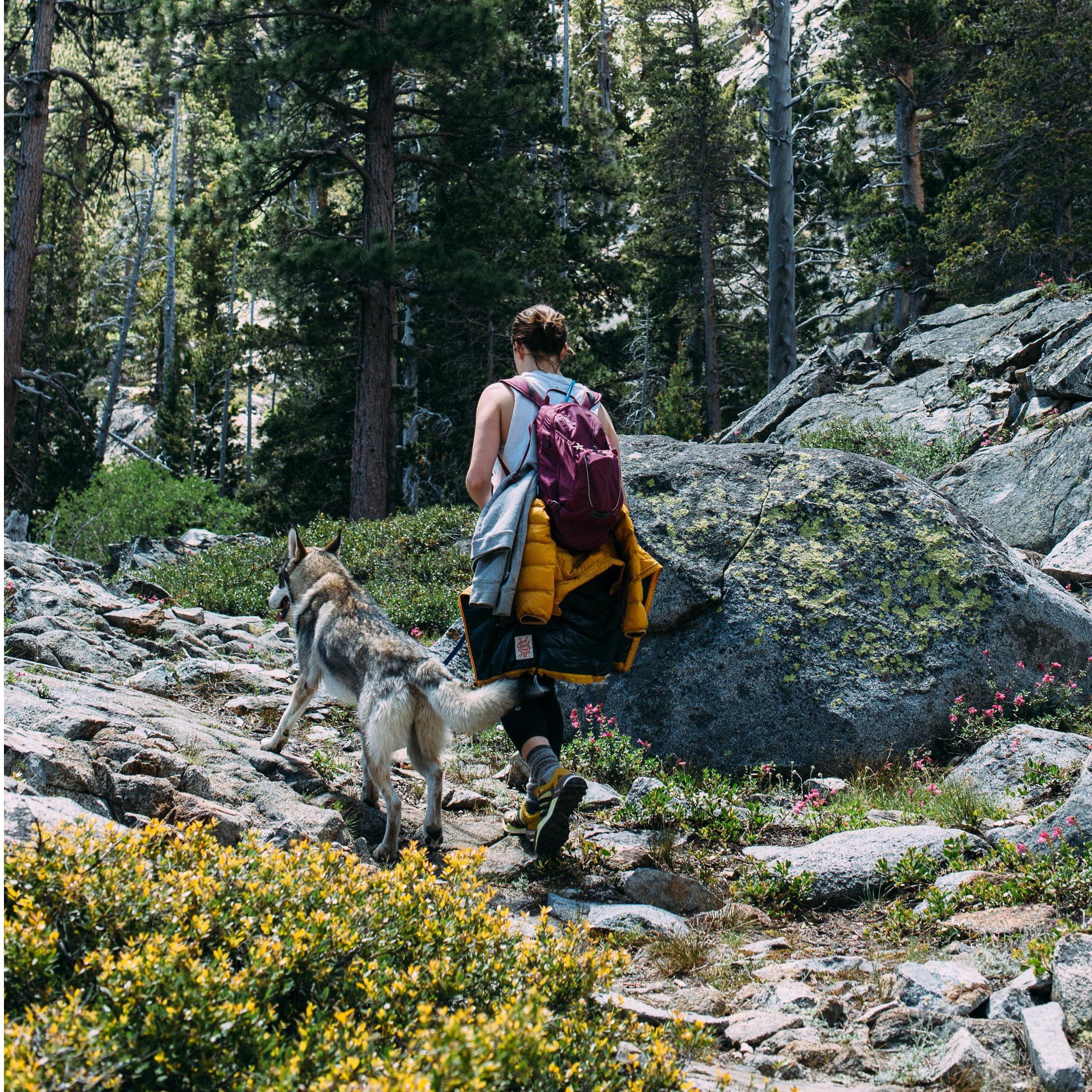 Shared: A hike outside our back door.
Location: Desolation Wilderness