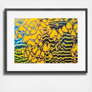 Conus III Wall Art