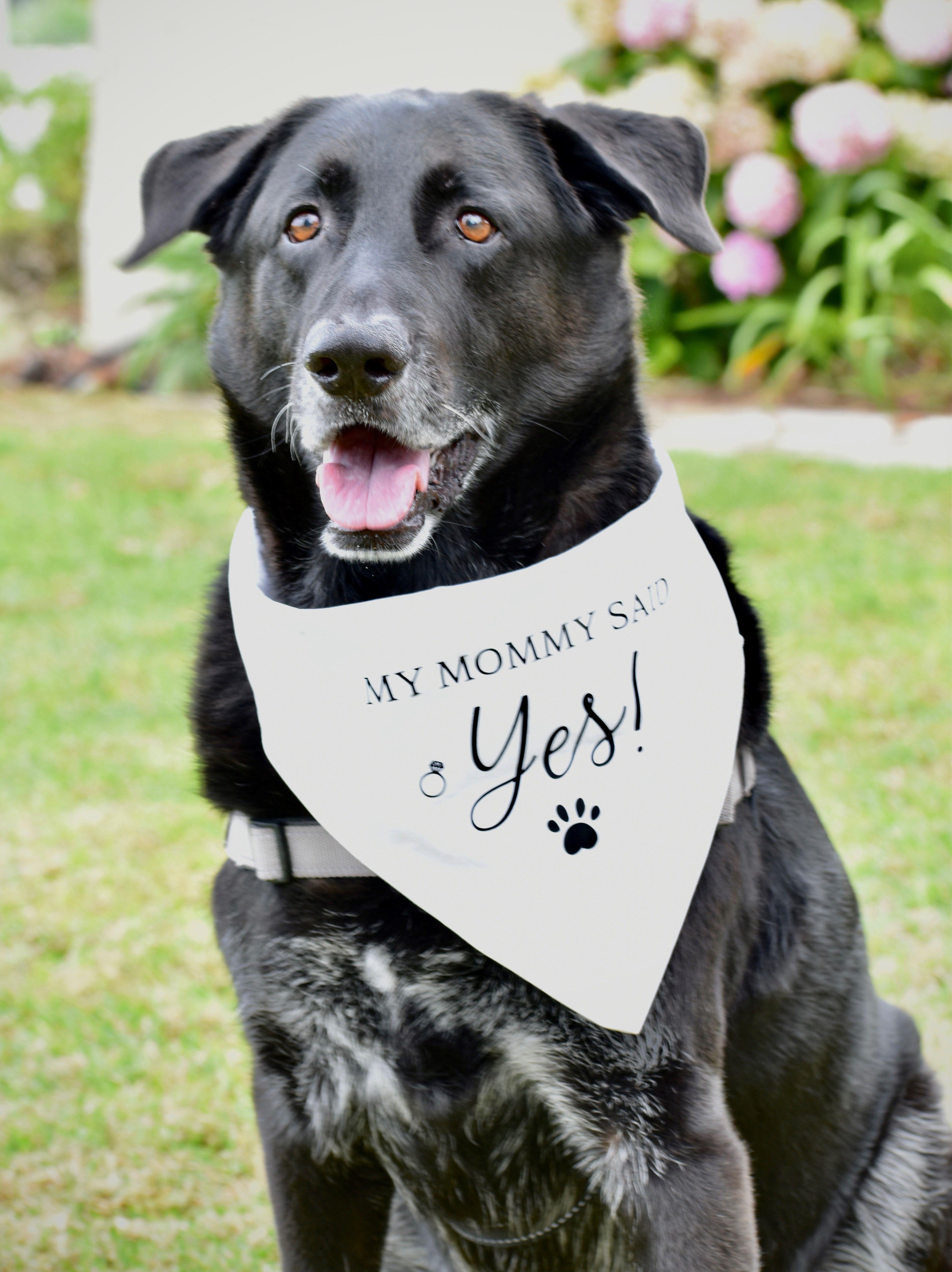 The Wedding Website of Ashley Humphrey and Jordan Barchus