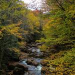 Adirondacks