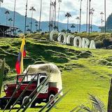 Valle del Cocora