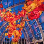 Chihuly Garden and Glass