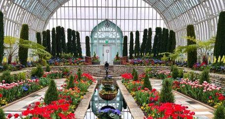 The Wedding Website of Abigail Winzenburg and Tanner Hackett