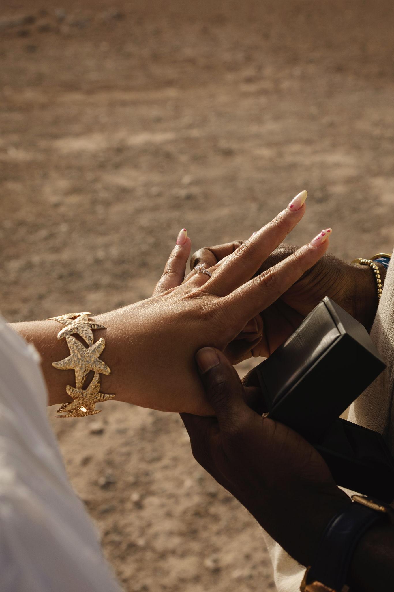 The Wedding Website of Shannon Louise Grove and Adeyemi Dabiri-Adejobi