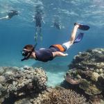Snorkelling & SCUBA Diving