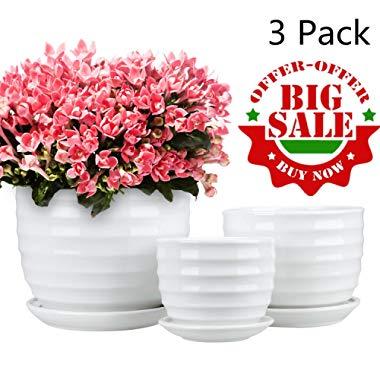 Encheng Round Modern Ceramic Garden Flower Pots Small to Medium Sized, White Planter Pots 3 Packs