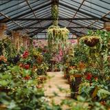 Jardín Botánico de Vallarta