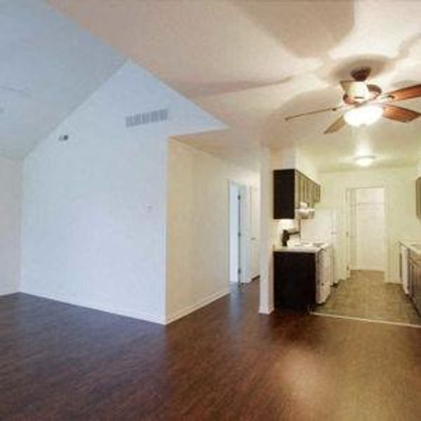 Household Expenses (Matress, Furniture, etc.)