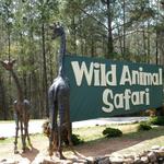 Wild Animal Safari