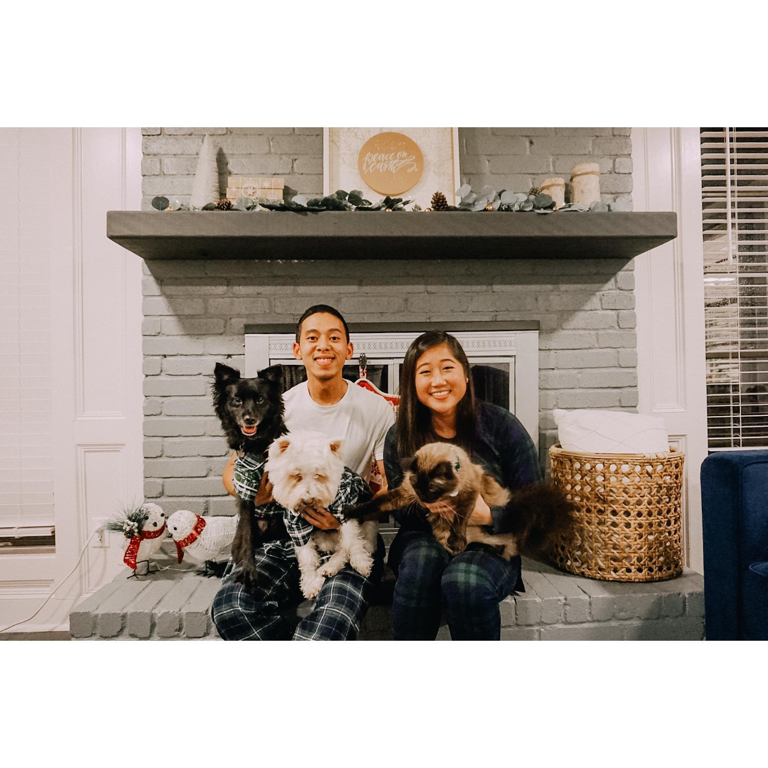 First Christmas in our Home with Fur Babies, Astro, Ralph, & Periwinkle 2018