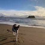 Walk at Popham Beach