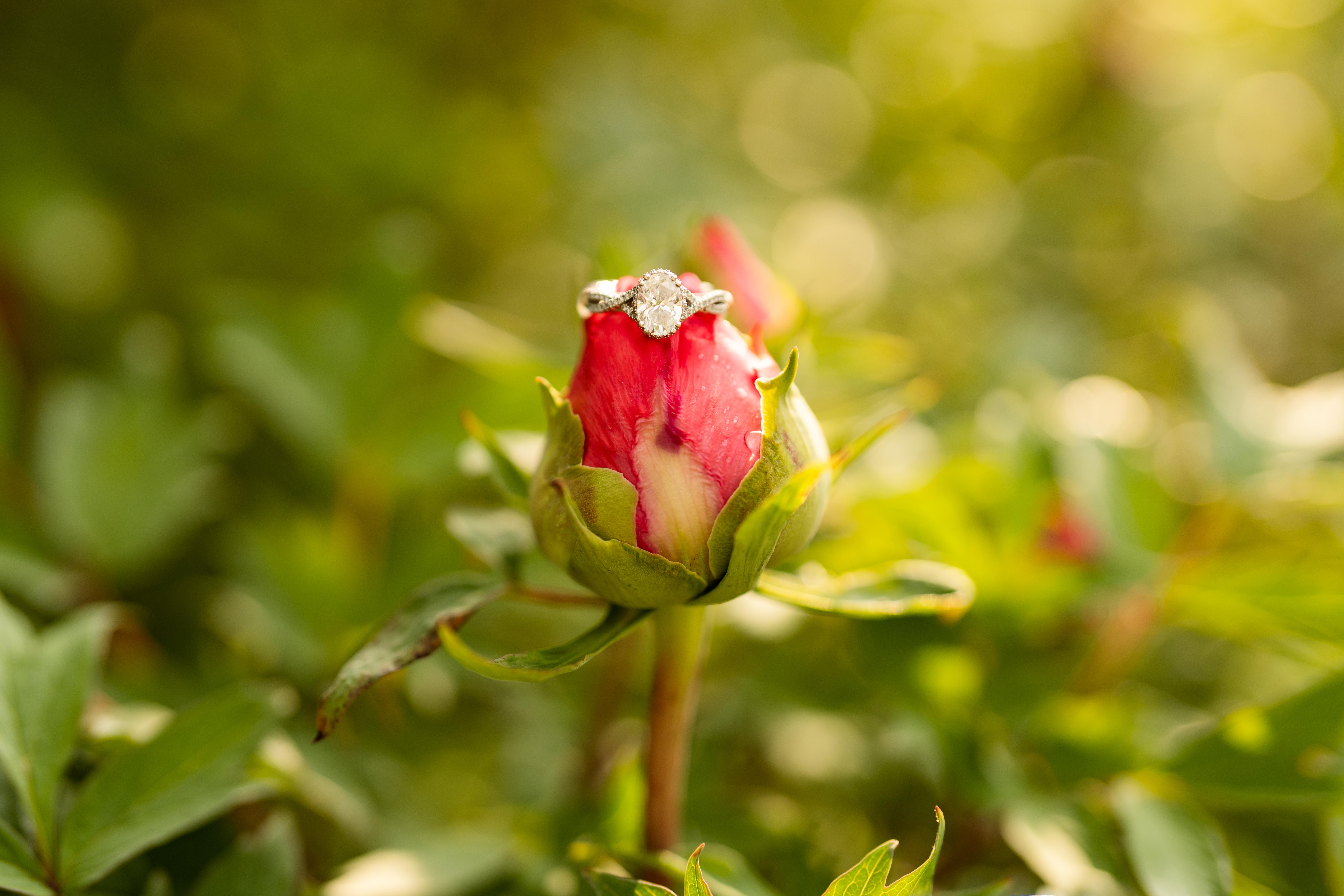 The Wedding Website of Lindsay Miller and Samir Saad