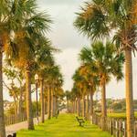 Pitt Street Bridge