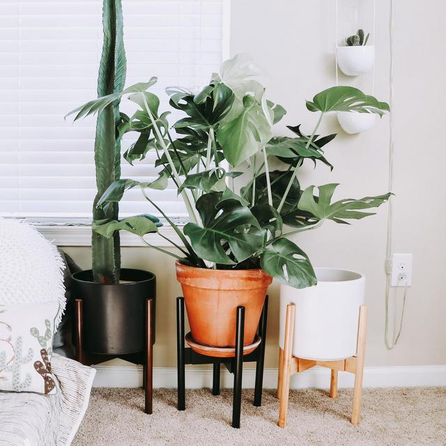 Adjustable Mid Century Indoor Plant Holder - 12"