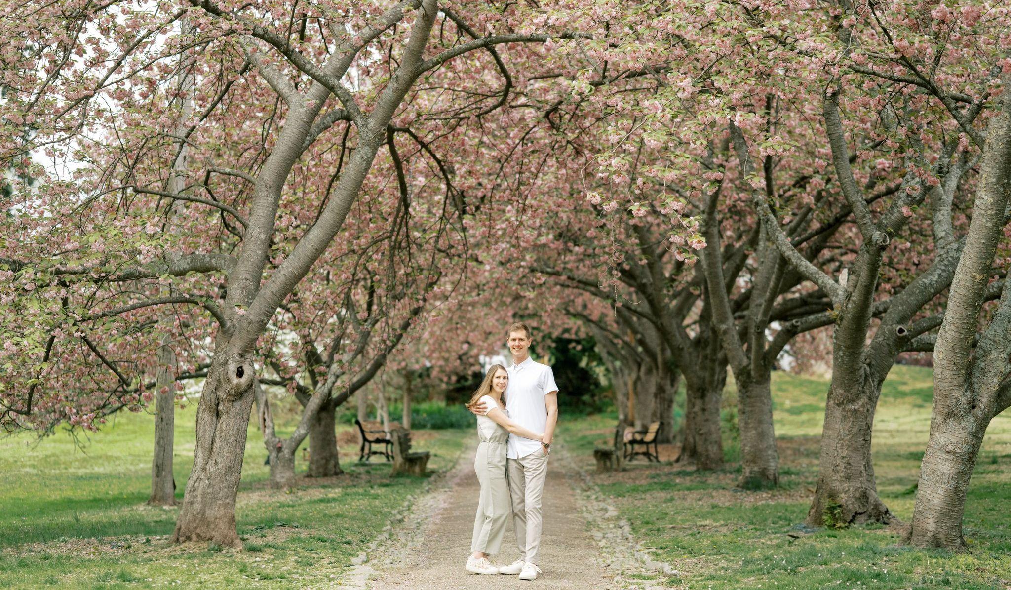 Footer image