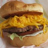 Bud's Broiler
