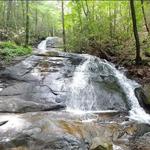 Fall Branch Falls