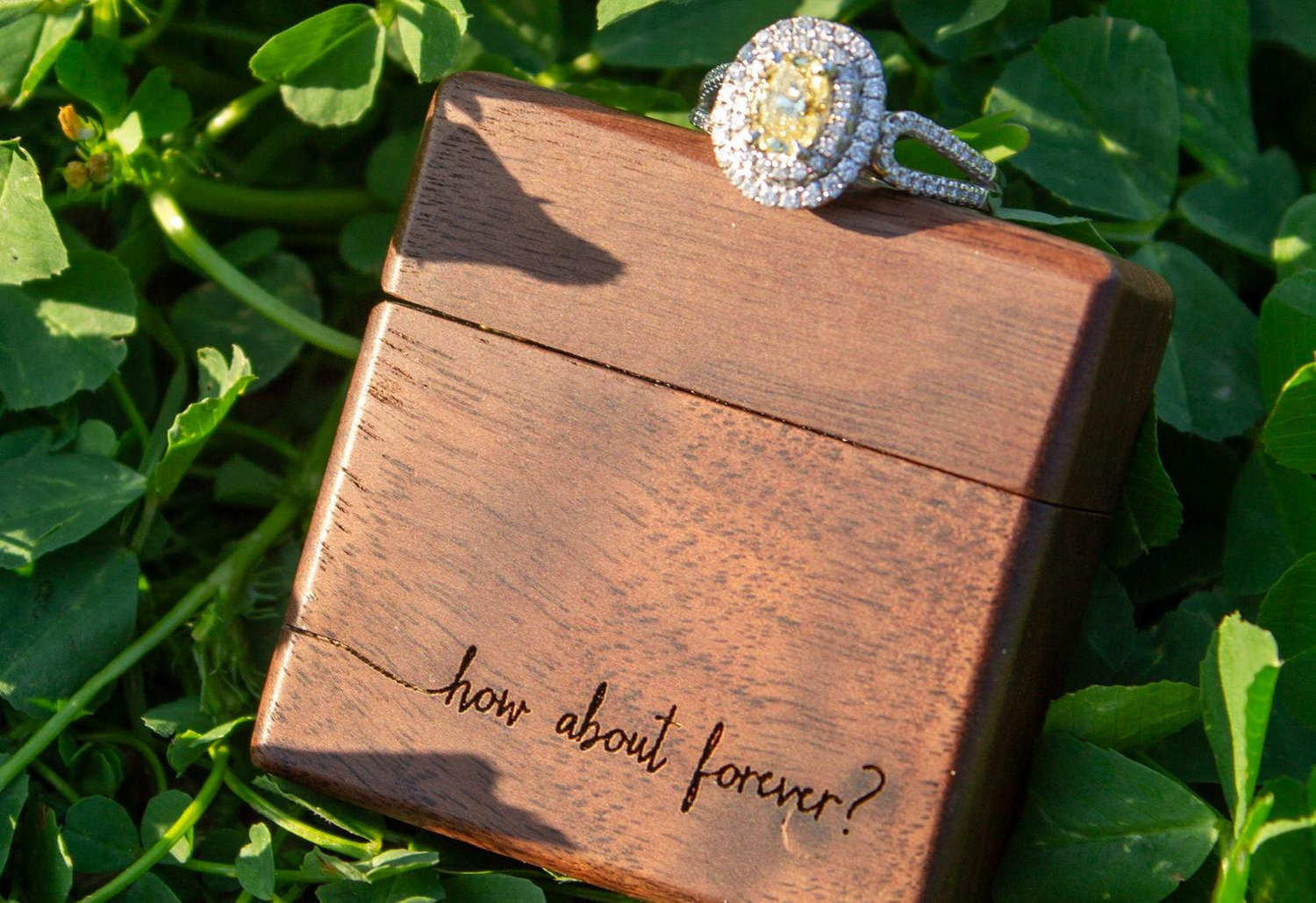 The Wedding Website of Malissa Lekhram and Alex Rodriguez