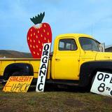 Swanton Berry Farm