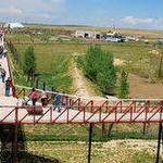 The Wild Animal Sanctuary