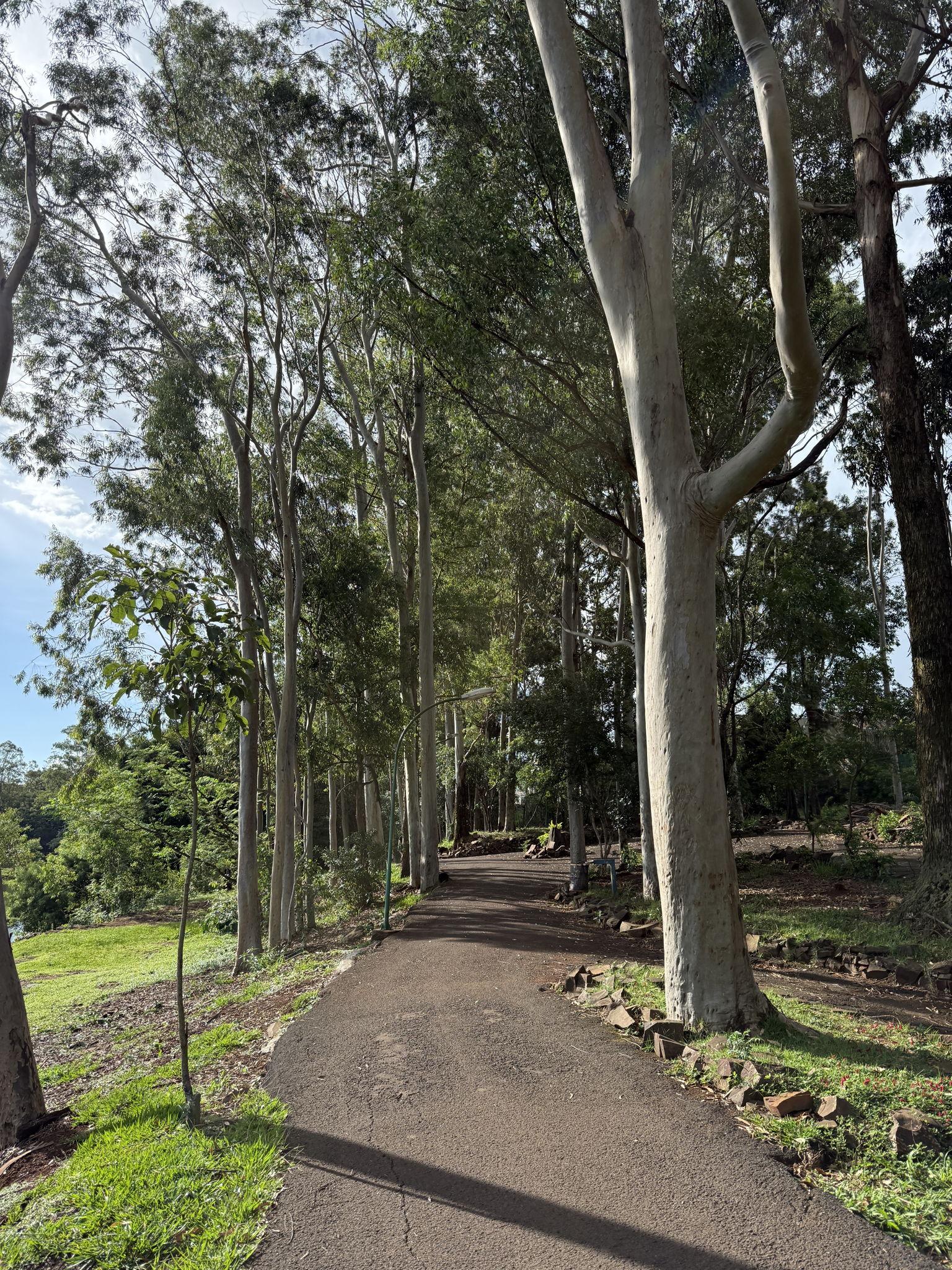 The Wedding Website of Ashley Matoso and Sean O’Connell