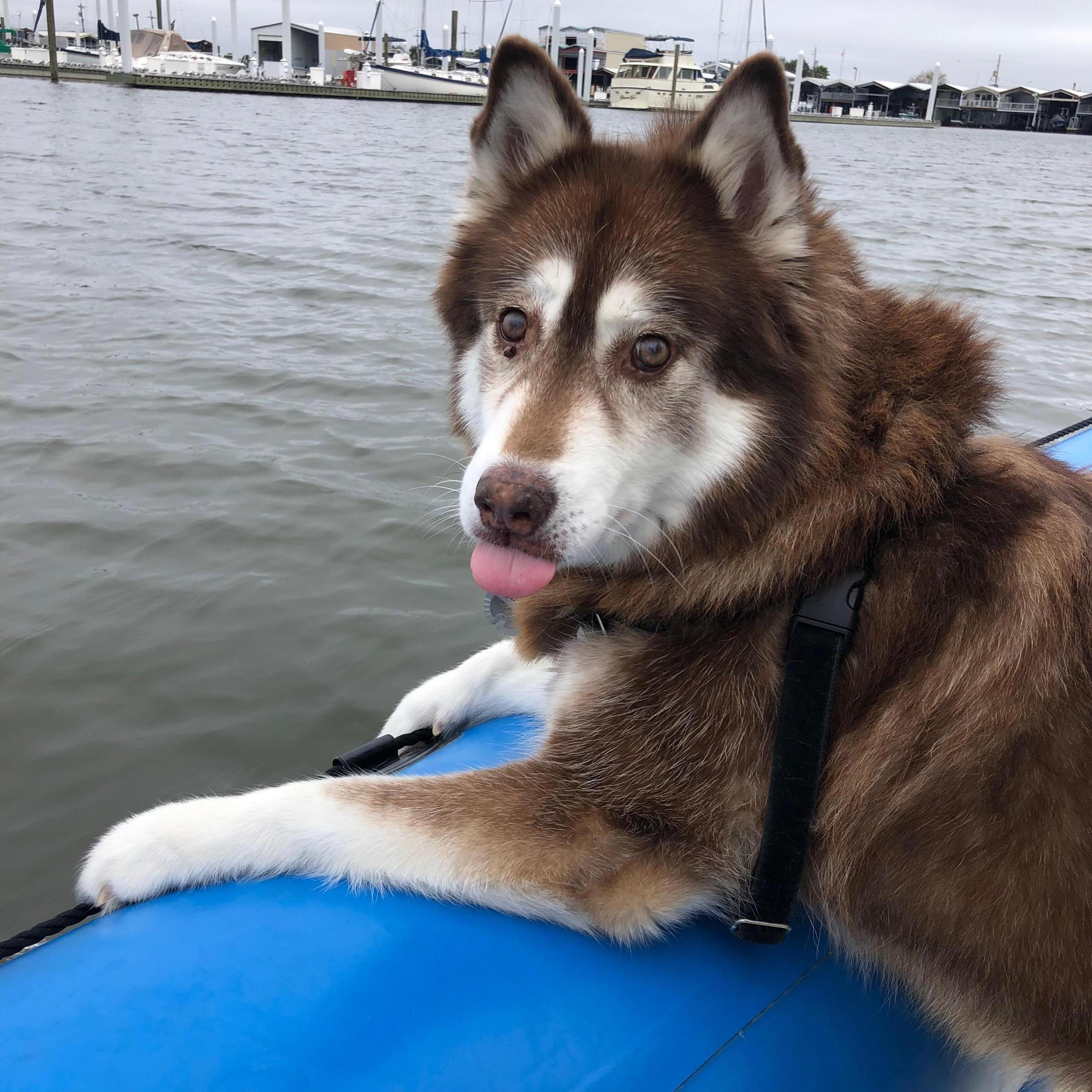 Boris's first Lake Pontchartrain boat ride!