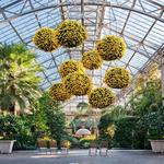 United States Botanic Garden