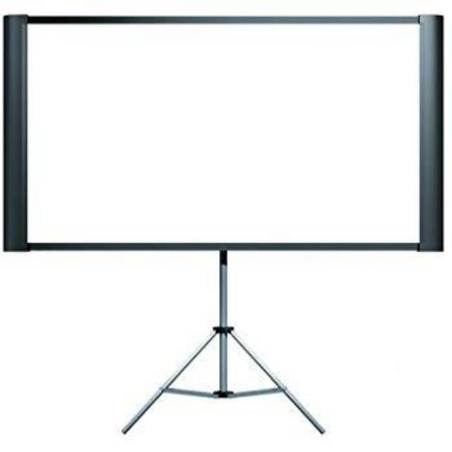 Projection Screen for Movie Nights!