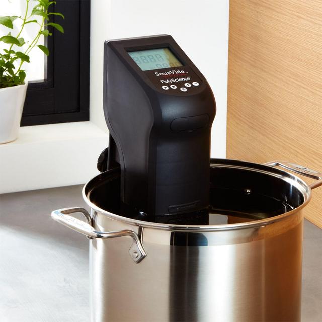 Polyscience Sous Vide Professional Creative Series Immersion Circulator