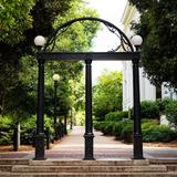 The Arch